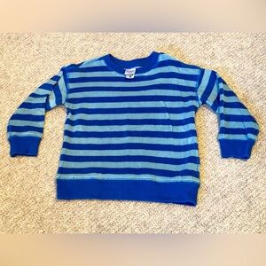 Blue Striped Terry Cloth Sweatshirt
